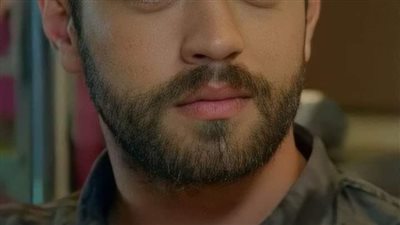 رواية قصة حقيقية القصول من 31-35